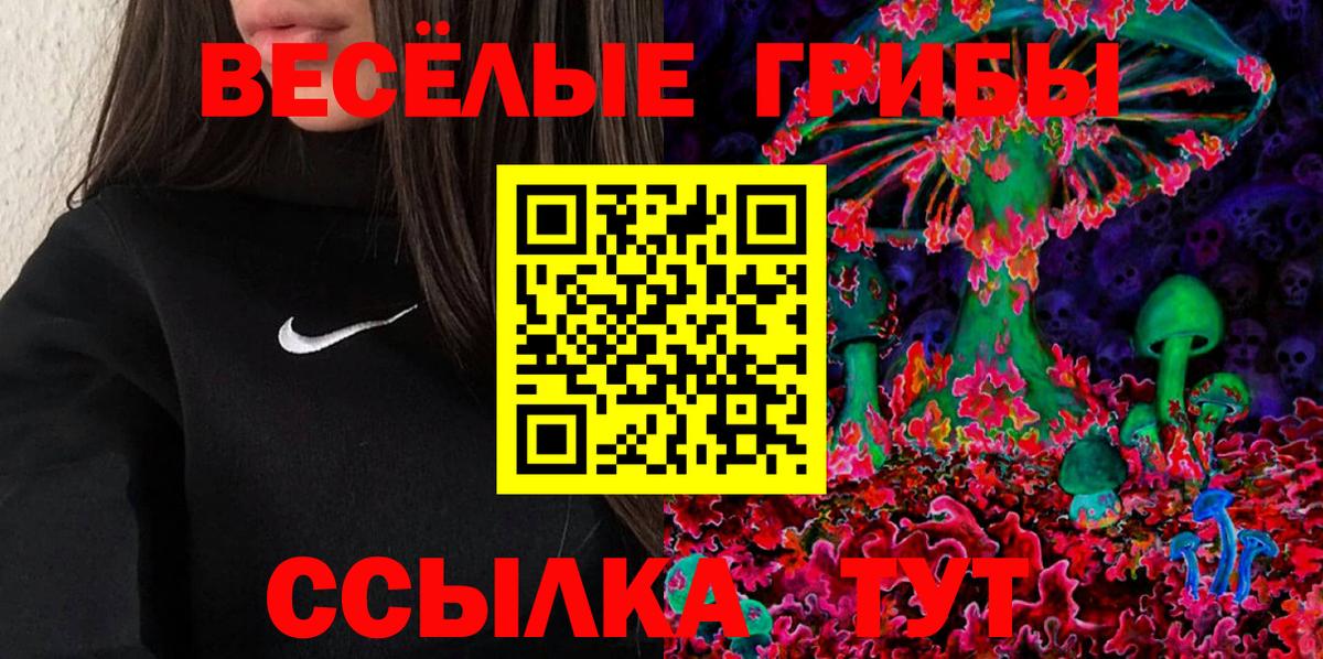 Галлюциногенные грибы Cubensis Шелехов