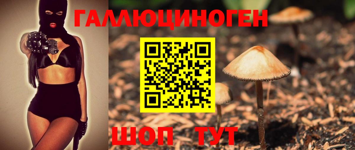 Псилоцибиновые грибы MAGIC MUSHROOMS  Вход с VPN  Шелехов 